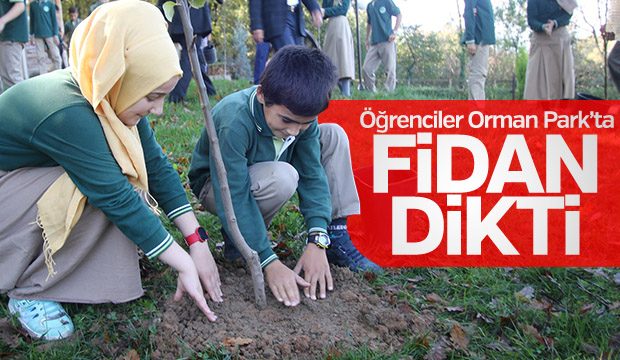 Orman Parkta Doğa Yürüyüşü Ve Meyve Fidanı Dikimi