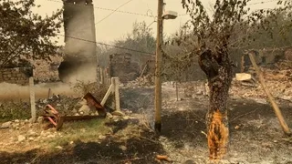 Orman yangını bir köyü yuttu