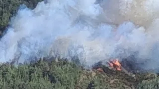 Orman yangını çıktı; Müdahale sürüyor