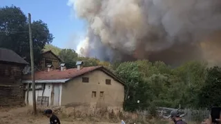Orman yangını nedeniyle iki mahalle boşaltılıyor