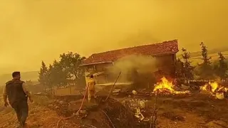 Orman yangını yakıp geçti; Görüntüler yürek yaktı