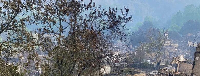 Orman yangını yakıp geçti; Görüntüler yürek yaktı