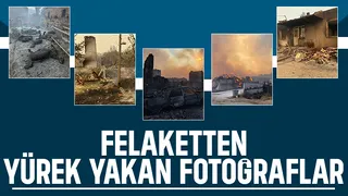 Orman yangını yakıp geçti; Görüntüler yürek yaktı