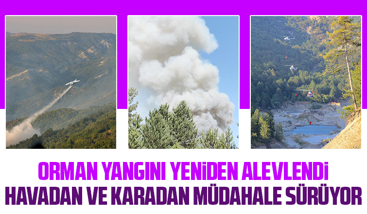 Orman yangını yeniden alevlendi, kontrol altına alınamıyor