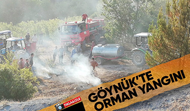 Orman Yangını
