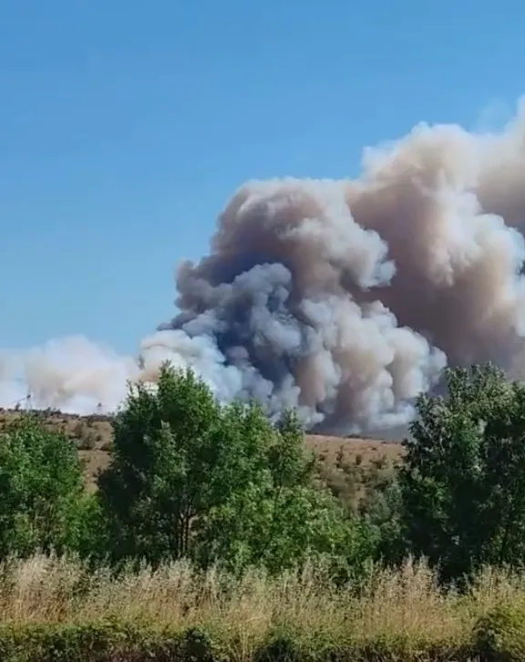 Orman yangınına müdahale sürüyor