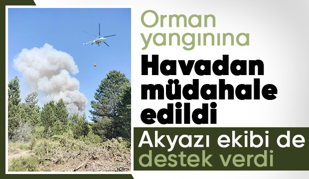 Orman yangınına müdahaleye Akyazı ekibi destek verdi