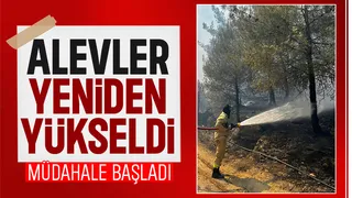 Orman yangınında alevler yeniden yükseldi