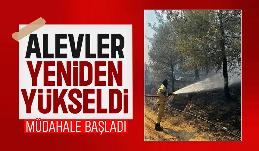 Orman yangınında alevler yeniden yükseldi