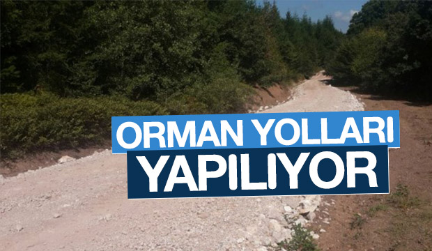 Orman Yolları Yapılıyor