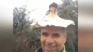 Ormanda buldu; Define bulmuş gibi sevindi