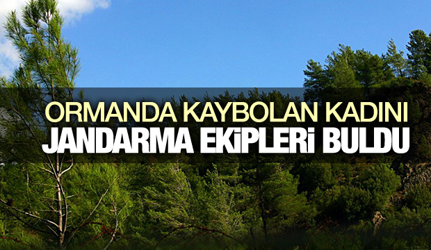 Ormanda Kaybolan Kadını Jandarma Buldu