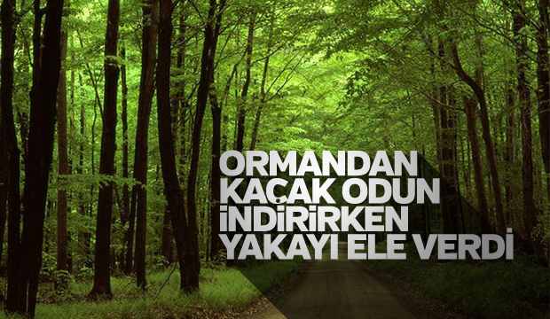 ORMANDAN KAÇAK ODUN TAŞIRKEN YAKALANDI