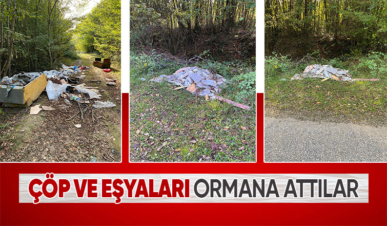 Ormanı çöplüğe çevirdiler