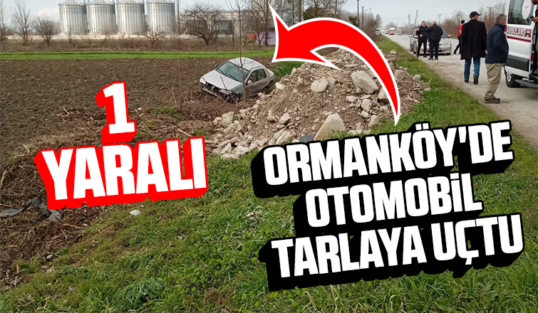 Ormanköyde otomobil tarlaya uçtu: 1 yaralı