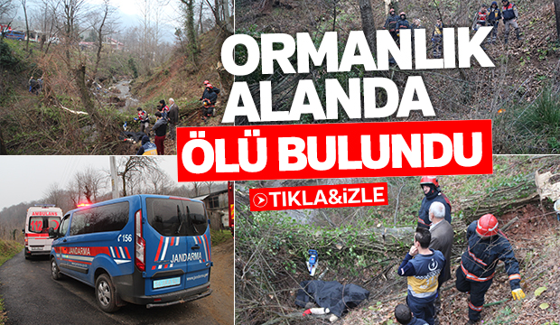 Ormanlık Alanda Ölüm 