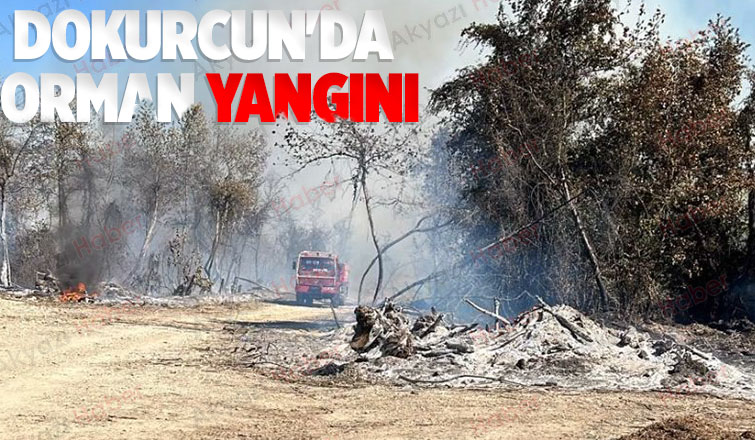 Ormanlık alanda yangın