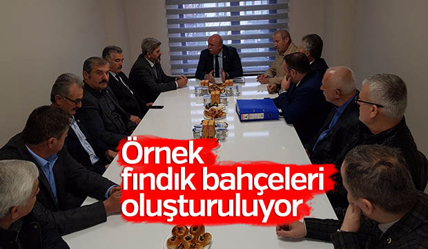 Örnek Fındık Bahçeleri Oluşturuluyor