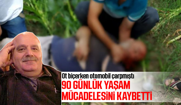 Ot biçerken otomobil çarpmıştı, ölüm haberi geldi