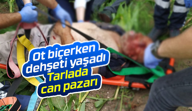 Ot biçerken otomobil çarptı