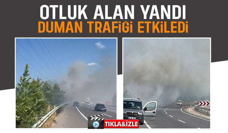Otluk alanda çıkan yangın trafiği etkiledi