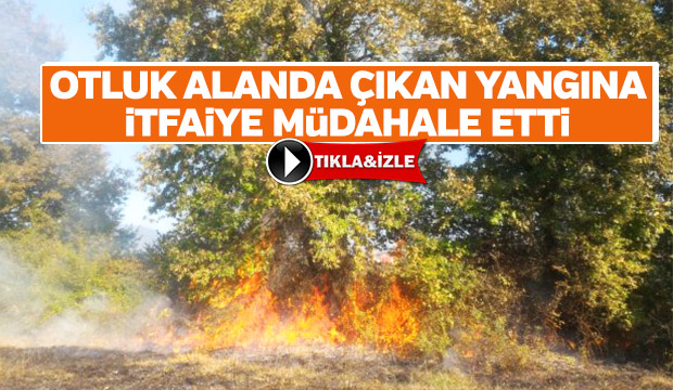 Otluk alanda çıkan yangına İtfaiye müdahale etti