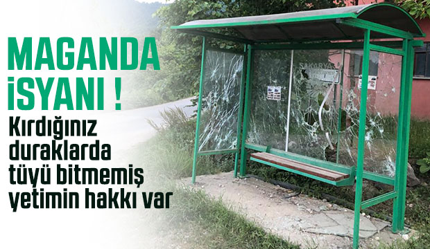 Otobüs durağına maganda saldırısı