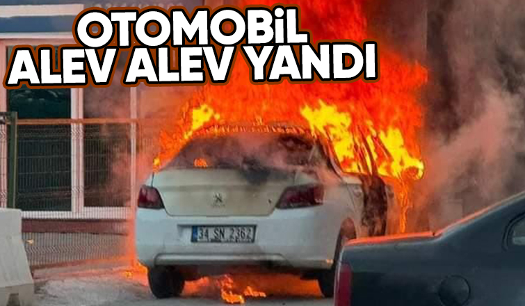 Otomobil alevlere teslim oldu