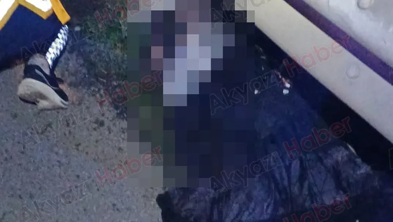 Otomobil çarptı, feci şekilde öldü