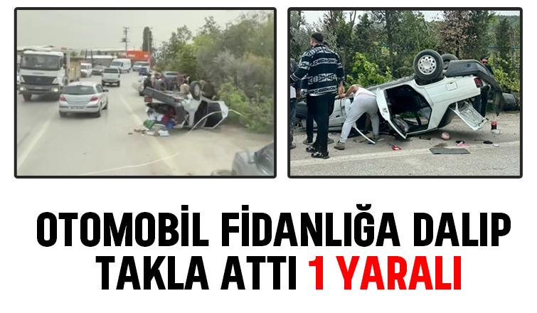 Otomobil fidanlığa daldı