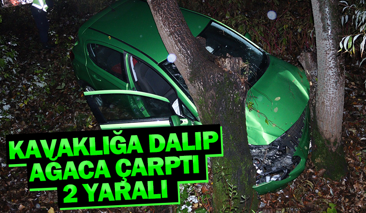 Otomobil kavaklığa uçtu: 2 yaralı