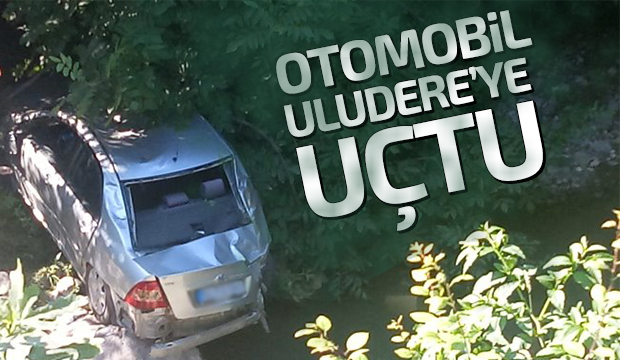 Otomobil Uludereye uçtu