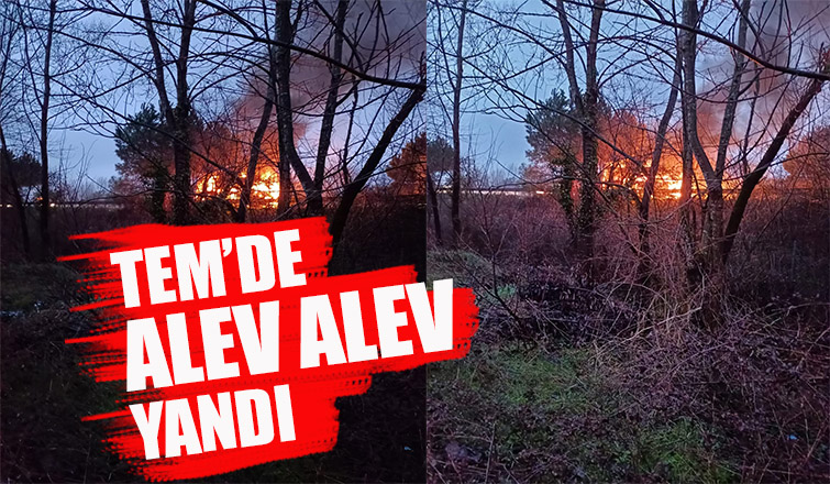 Otoyolda araç alev alev yandı