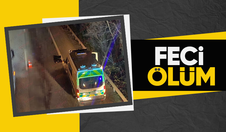 Otoyolda feci şekilde öldü