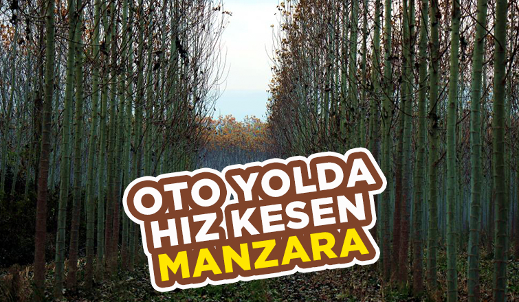 Otoyolda hız kesen manzara