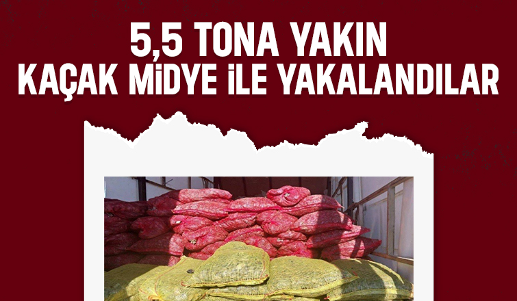 Otoyolda kaçak midye operasyonu