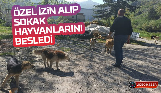 Özel İzin Aldı Sokak Hayvanlarını Besledi 