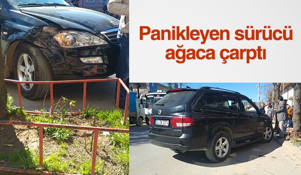 Panikleyen Sürücü Ağaca Çarptı VİDEO