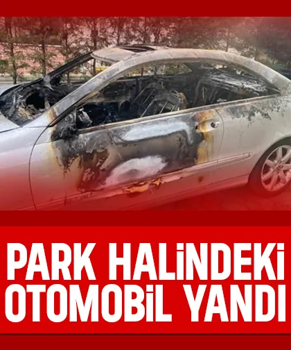 Park halindeki otomobilde yangın
