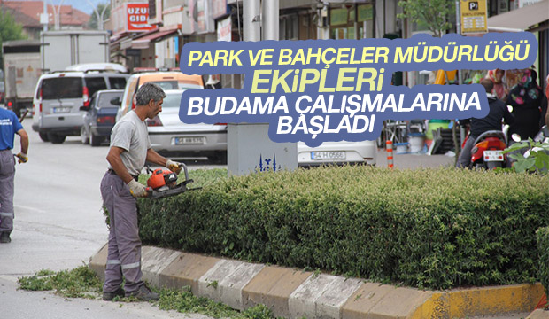 PARK VE BAHÇELER AĞAÇ BUDAMA ÇALIŞMALARINA BAŞLADI