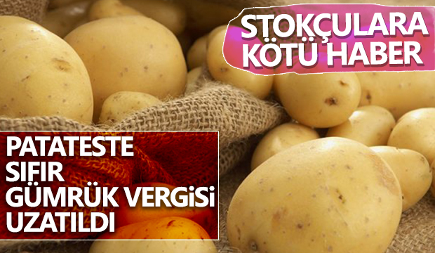 Patateste sıfır gümrük vergisi uygulaması uzatıldı