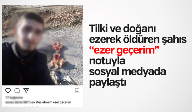 Paylaşımları hayvanseverleri ayağa kaldırdı