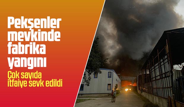 Geri dönüşüm fabrikası Alev alev yandı
