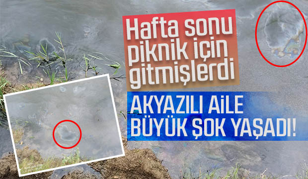 Pikniğe giden Akyazılı aile büyük şok yaşadı