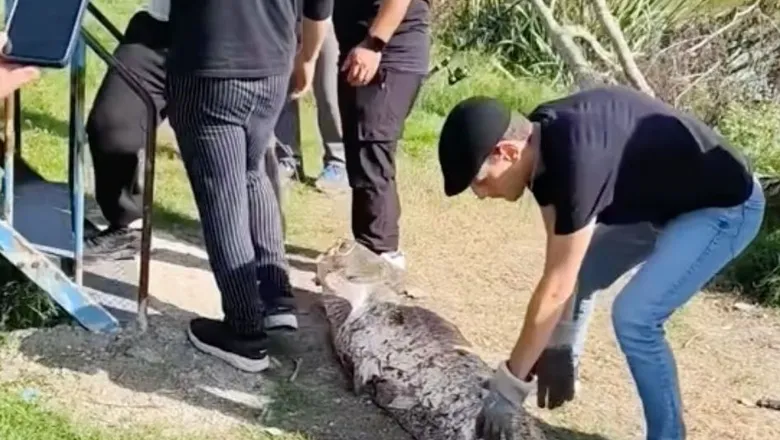 Piknikte 50 kiloluk yayın yakaladı