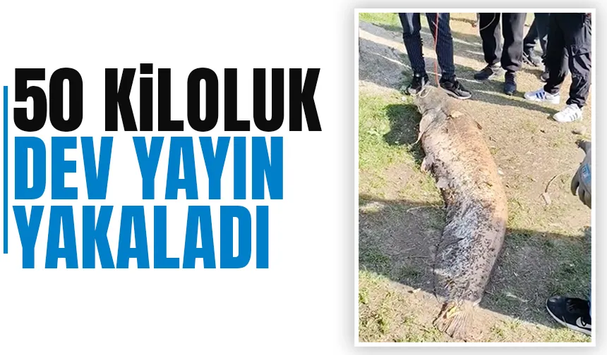 Piknikte 50 kiloluk yayın yakaladı