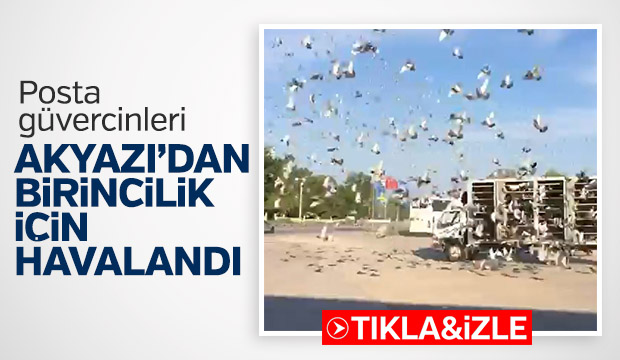 Posta güvercinleri birincilik için salındı