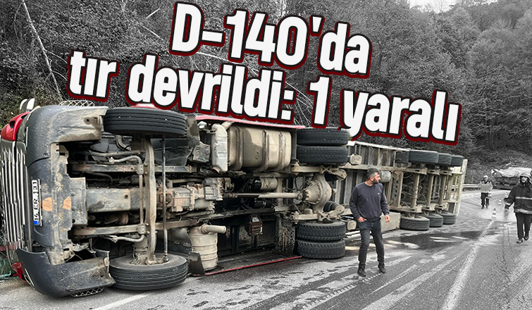 Reşadiye'de tır devrildi