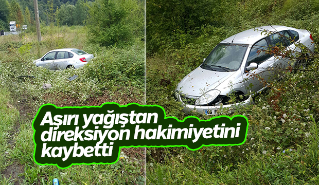 Reşadiye Yolunda Kaza