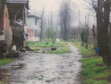 Evinin Yolunun Açılmasını İstedi 